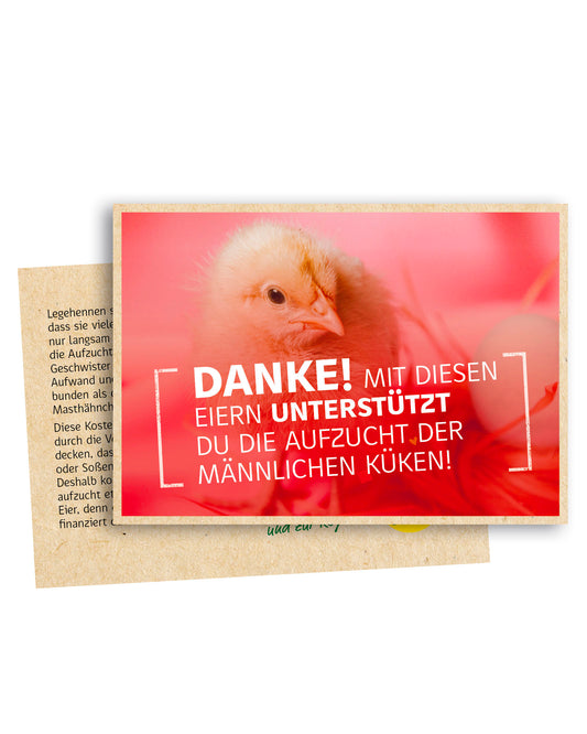 Einlegezettel für Eierschachteln