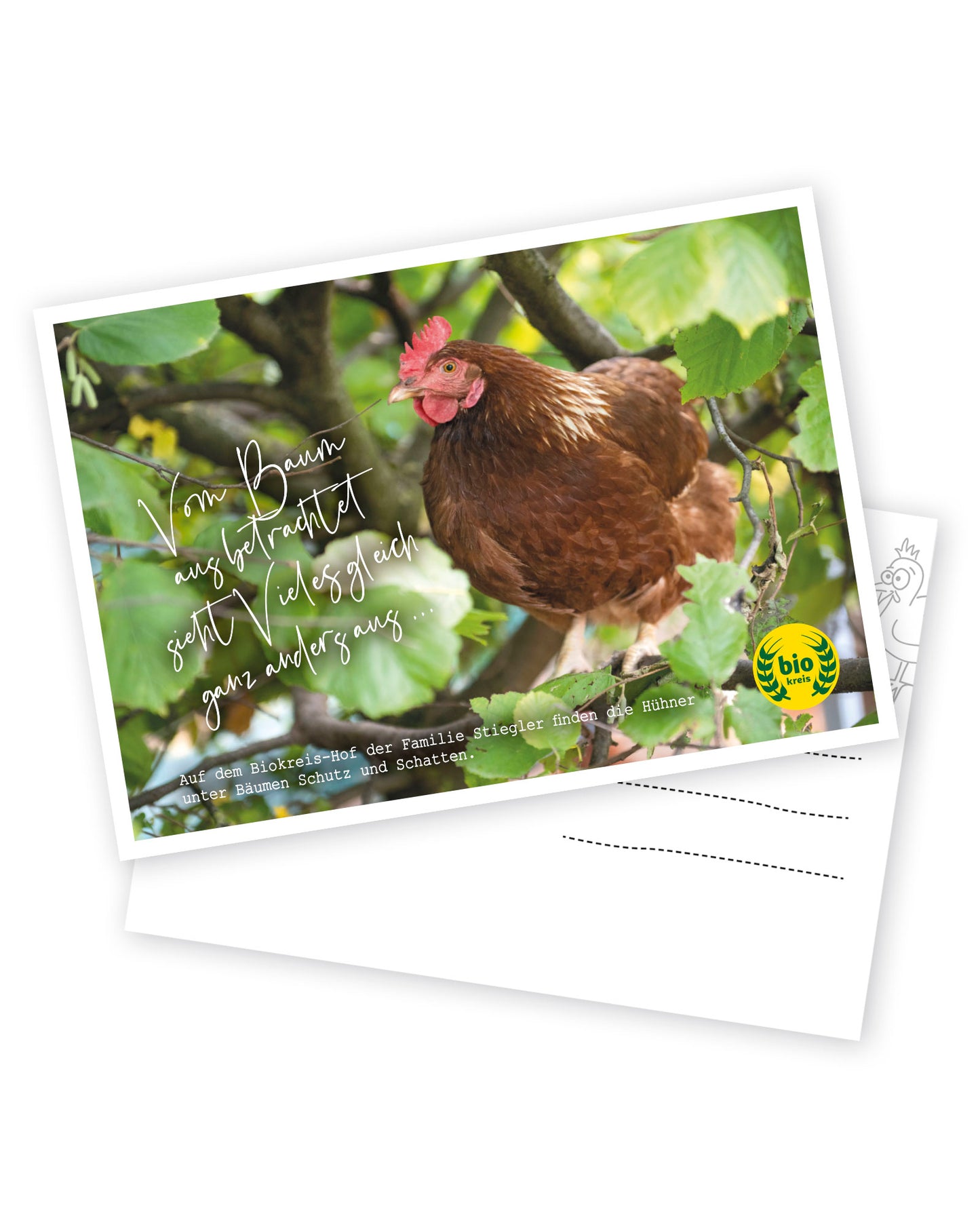 Biokreis-Postkarten